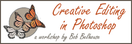 Take a Creative Photoshop Editing workshop